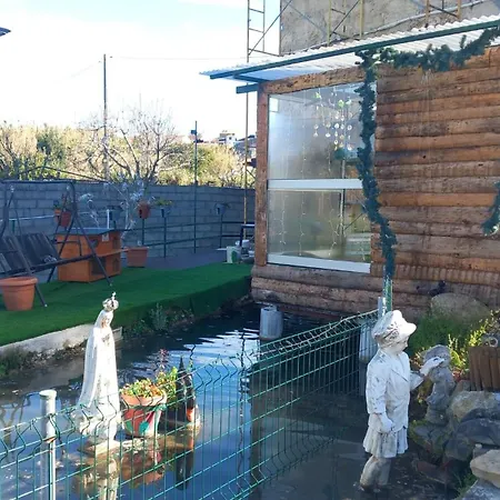 Qt 8 -casa Amazonia Portugal Séjour chez l'habitant Cernache (Coimbra)