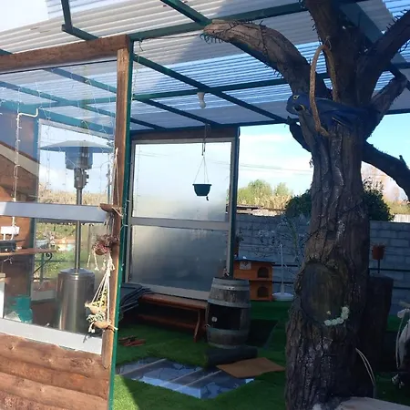 Qt 8 -casa Amazonia Portugal Cernache (Coimbra)