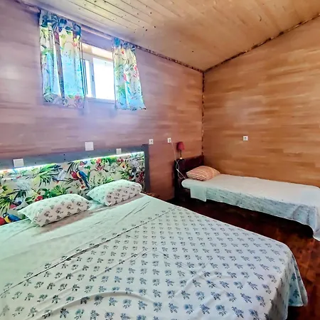 Qt 8 -casa Amazonia Portugal Cernache (Coimbra)