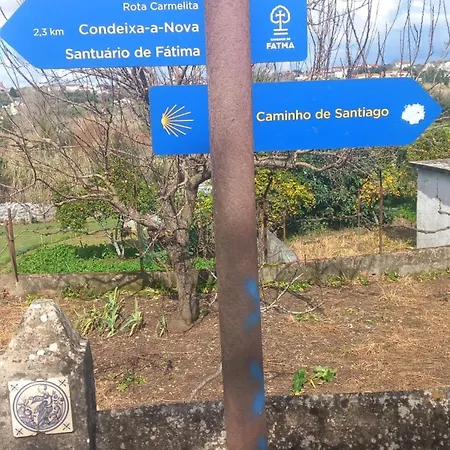 Qt 8 -casa Amazonia Portugal