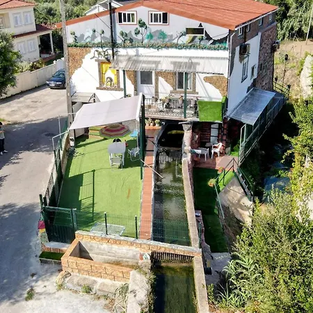 Qt 8 -casa Amazonia Portugal Séjour chez l'habitant Cernache (Coimbra)