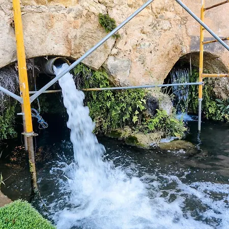 Qt 8 -casa Amazonia Portugal * Cernache (Coimbra)