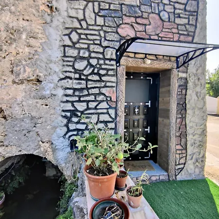 Qt 8 -casa Amazonia Portugal Séjour chez l'habitant