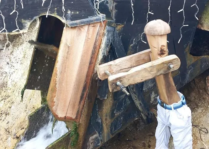 Qt 8 -casa Amazonia Portugal * Cernache (Coimbra)