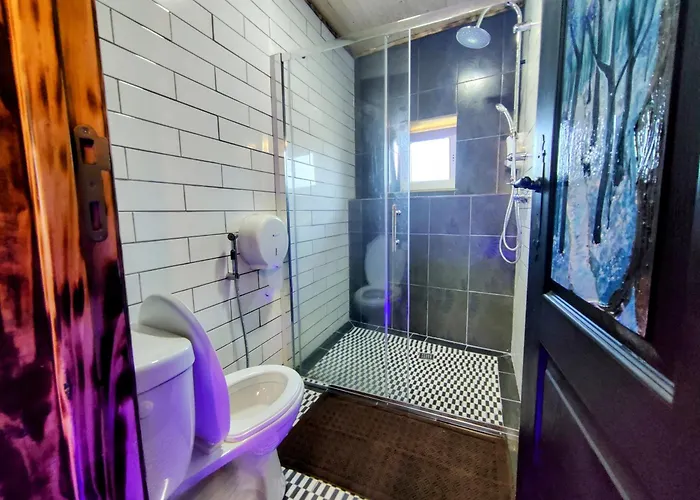 Alloggio in famiglia Qt 8 -casa Amazonia Portugal Cernache (Coimbra)